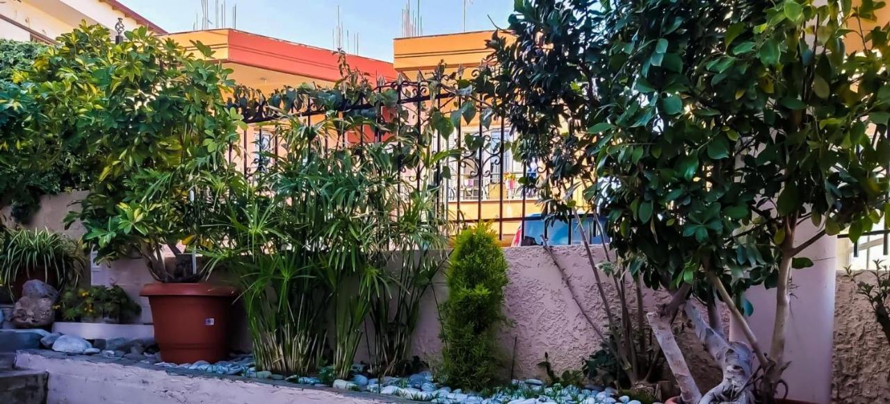 West Garden At Aigio By Greece Apartments Esterno foto